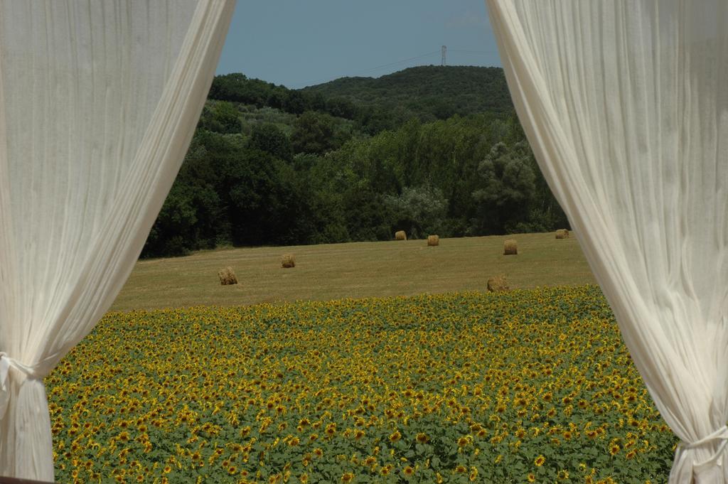 אמליה Agriturismo Tara מראה חיצוני תמונה