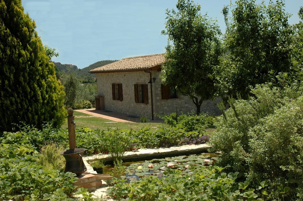 אמליה Agriturismo Tara חדר תמונה