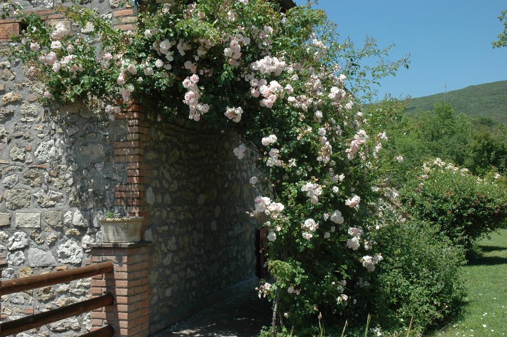 אמליה Agriturismo Tara מראה חיצוני תמונה